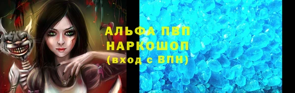 прущие грибы Корсаков