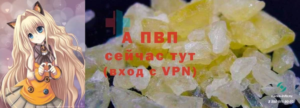 прущие грибы Корсаков