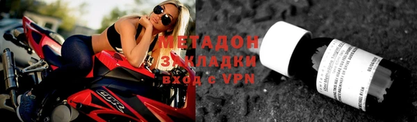прущие грибы Корсаков