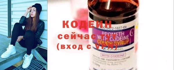 прущие грибы Корсаков