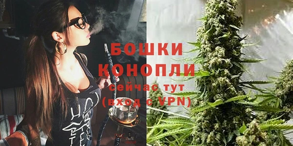 дживик Коряжма