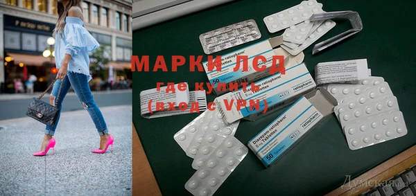 прущие грибы Корсаков