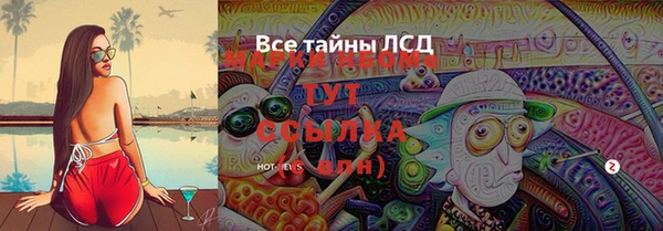 дживик Коряжма
