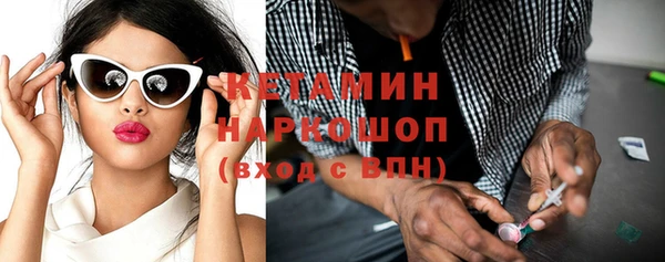 прущие грибы Корсаков