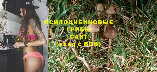 дживик Коряжма
